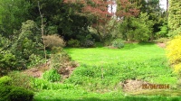 IMG_1512.jpg, 29kB